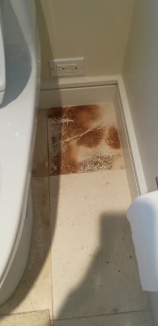 Stone floor stain removal — before